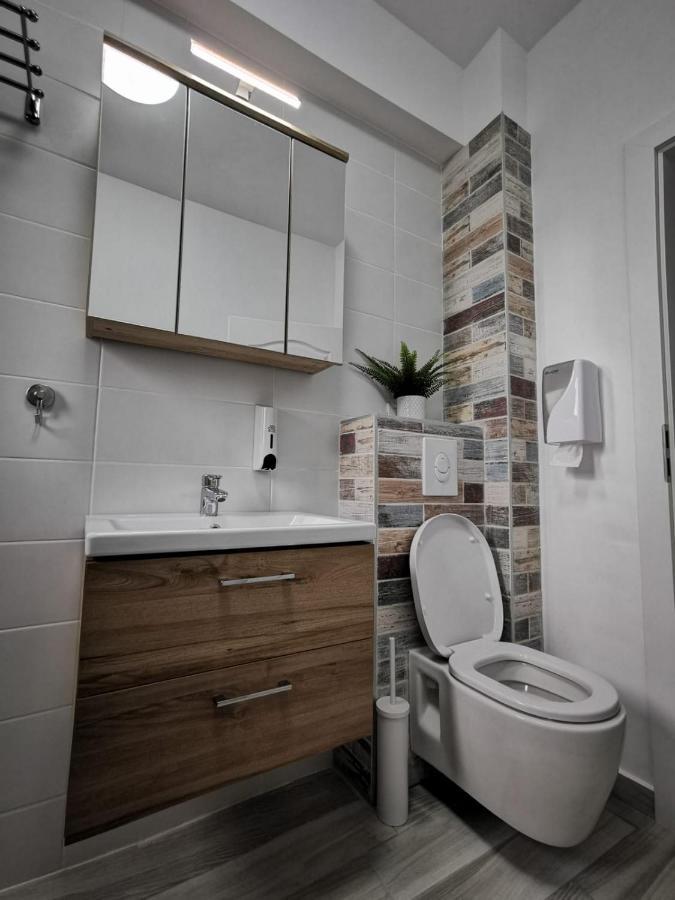 Karra Residence Timisoara - Autorizat Ministerul Turismului Екстериор снимка